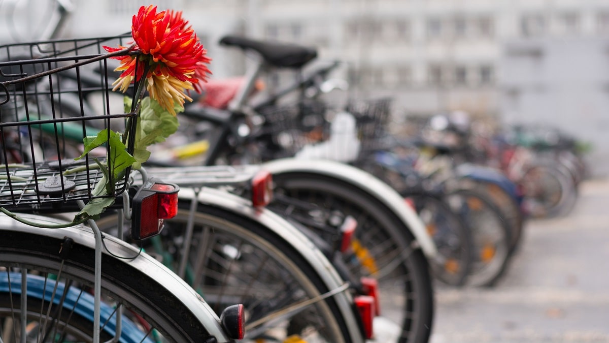 nachhaltig leben Fahrrad